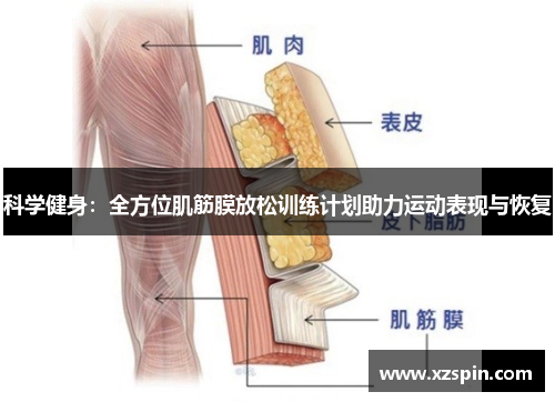 科学健身：全方位肌筋膜放松训练计划助力运动表现与恢复
