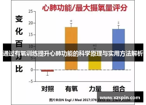 通过有氧训练提升心肺功能的科学原理与实用方法解析