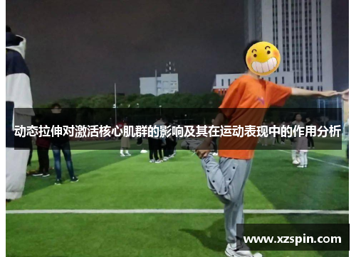 动态拉伸对激活核心肌群的影响及其在运动表现中的作用分析