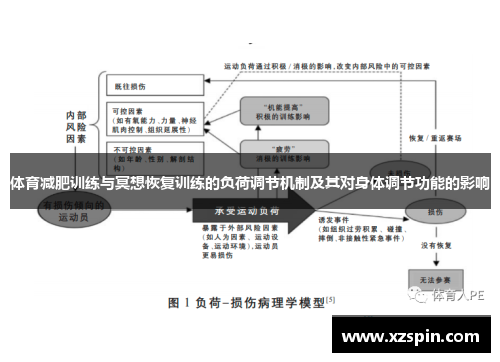 体育减肥训练与冥想恢复训练的负荷调节机制及其对身体调节功能的影响